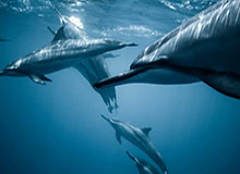 华体会体育官网：让体育热情落地的全方位体验